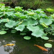 航企營銷服務(wù)戰(zhàn)略、九維空間模型規(guī)劃及其信息化建設(shè)導向研究-深圳出口空運