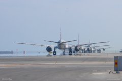 空運價格-卡塔爾航空執(zhí)行貨運包機任務 免費承運醫(yī)療物資馳援中國