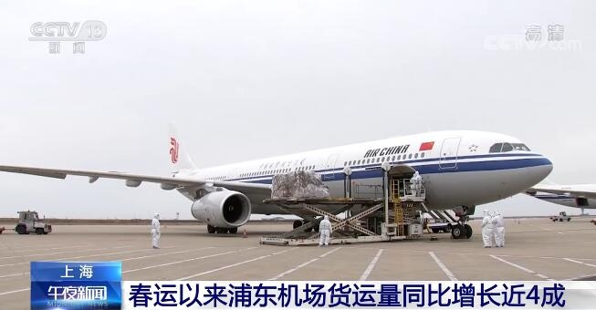 受航空運輸需求旺盛帶動 春運以來浦東機場貨運量同比增長近4成