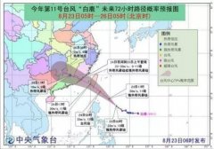 臺風(fēng)藍色預(yù)警:“白鹿”24日或正面登陸福建！-運費報價